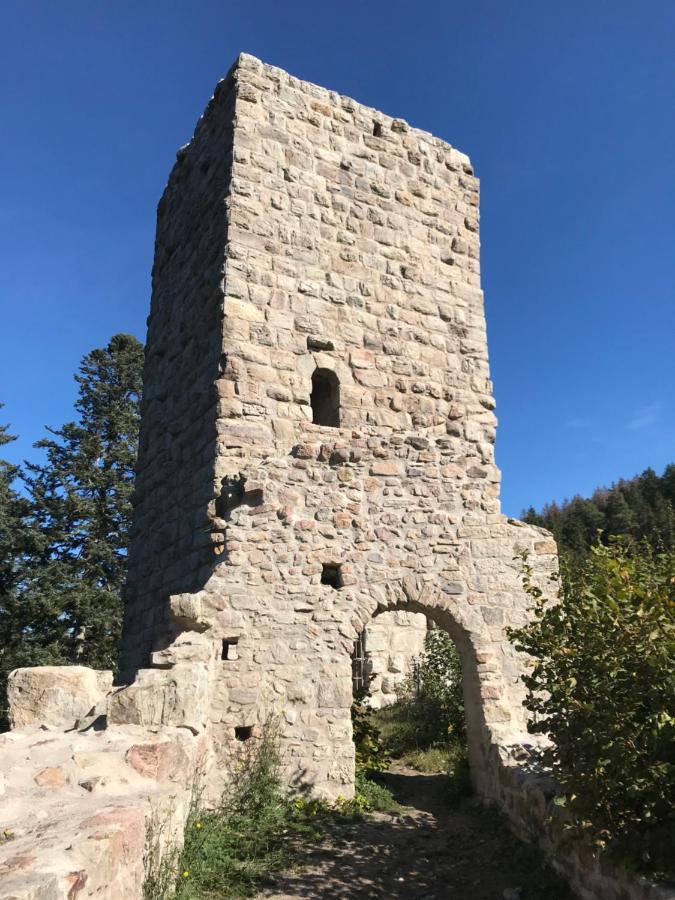 Landgasthof Alpenblick An Der Wutachschlucht Suedschwarzwald Loeffingen Luaran gambar