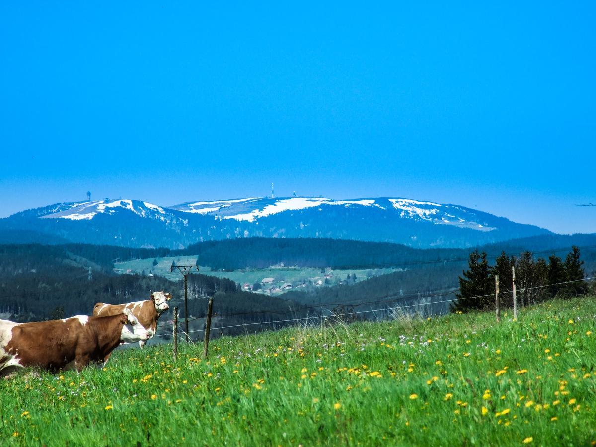Landgasthof Alpenblick An Der Wutachschlucht Suedschwarzwald Loeffingen Luaran gambar